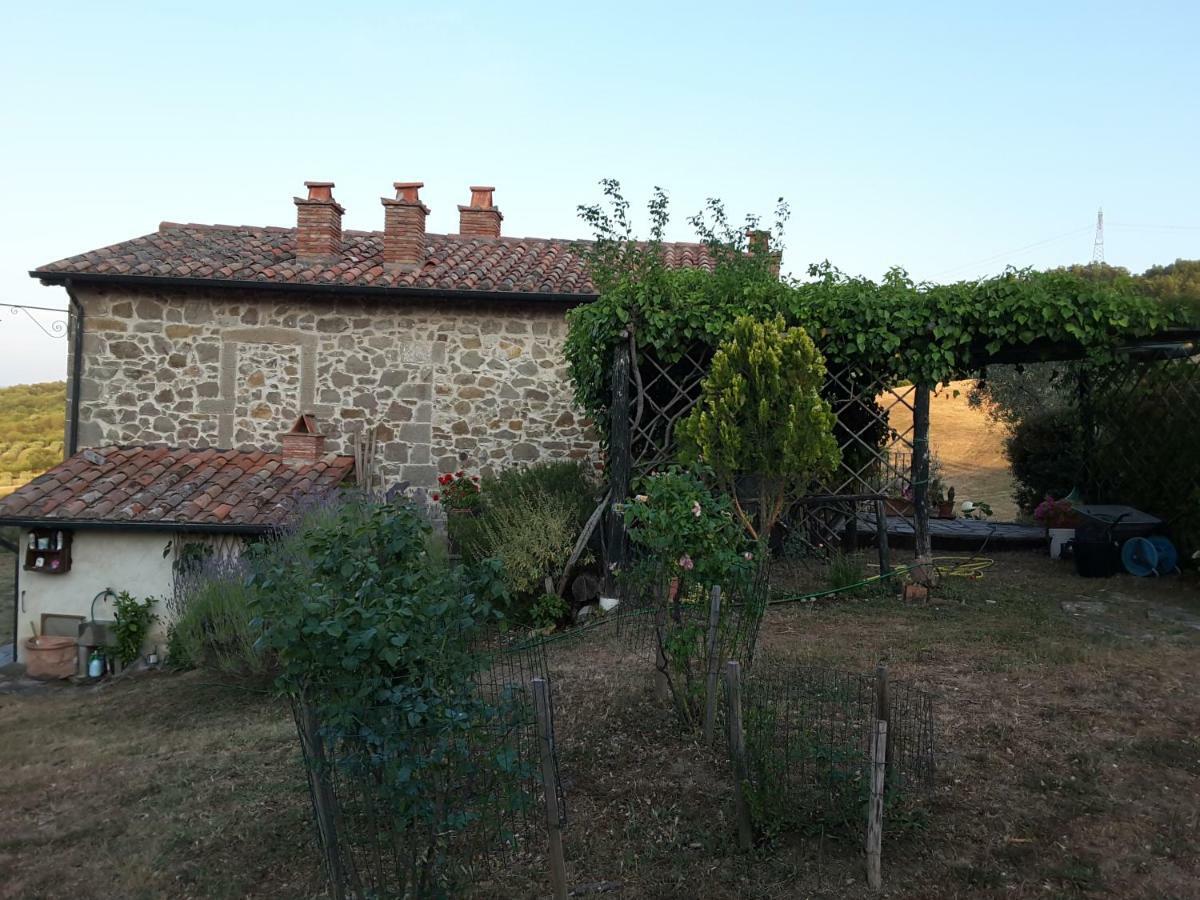 Poggio Bicchieri Villa Campiglia d'Orcia Exterior photo